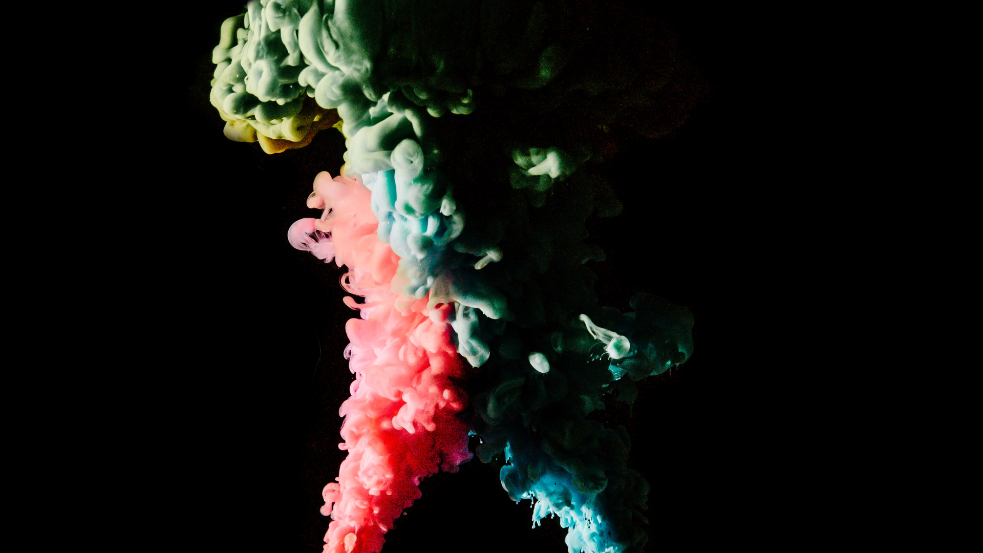 Color Fusion Motion FX – Vibrant Smoke Art in Motion